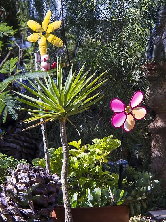Casa Pedro Bed & Breakfast Lajares 0*,