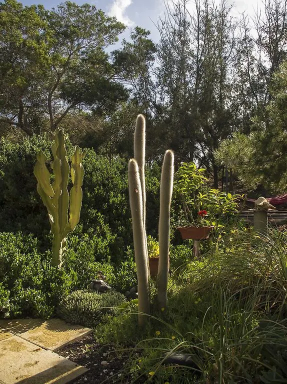 Casa Pedro Bed and Breakfast Lajares